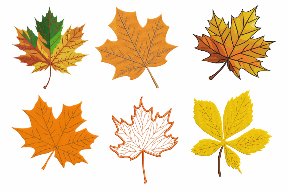 Fall Maple & Autumn Leaves Machine Embroidery Design Bundle | Embroidize