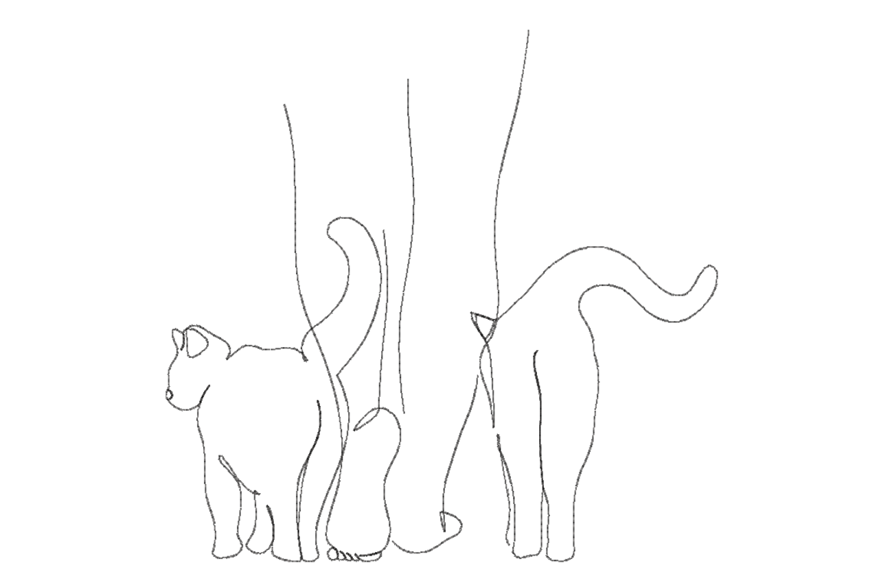 Minimalist Cat Line Art Machine Embroidery Design