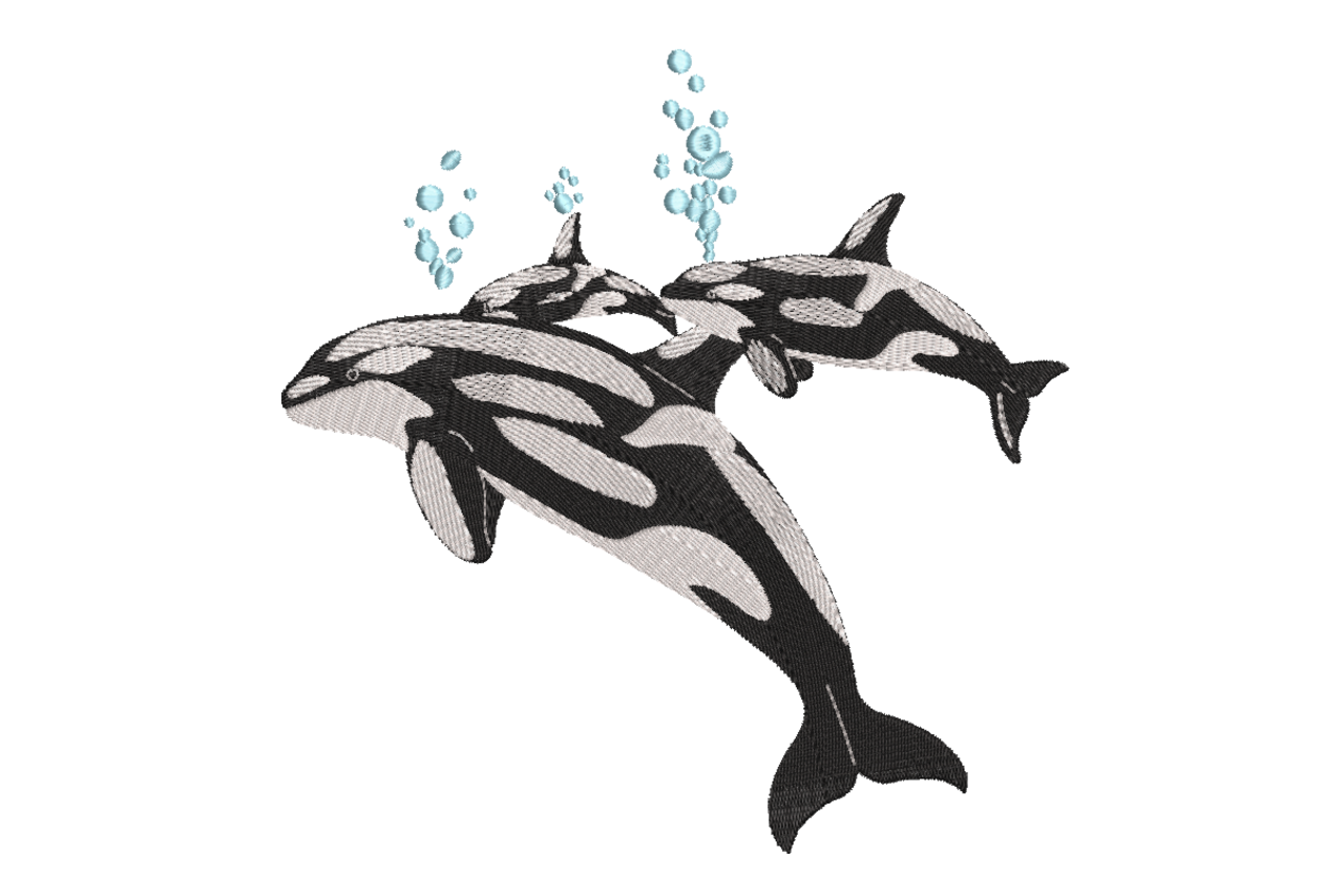 Orca Whale Duo Machine Embroidery Design
