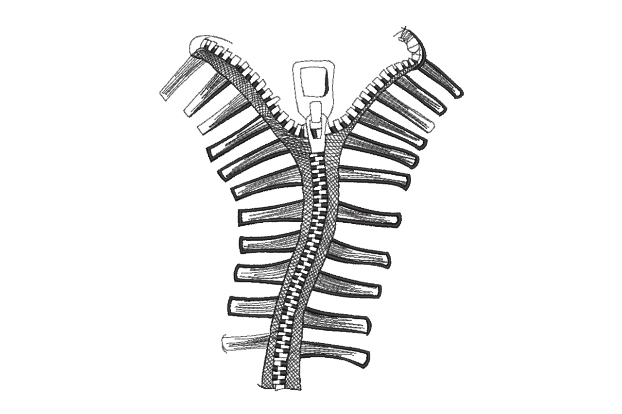 Zipper Skeleton Rib Cage Machine Embroidery Design