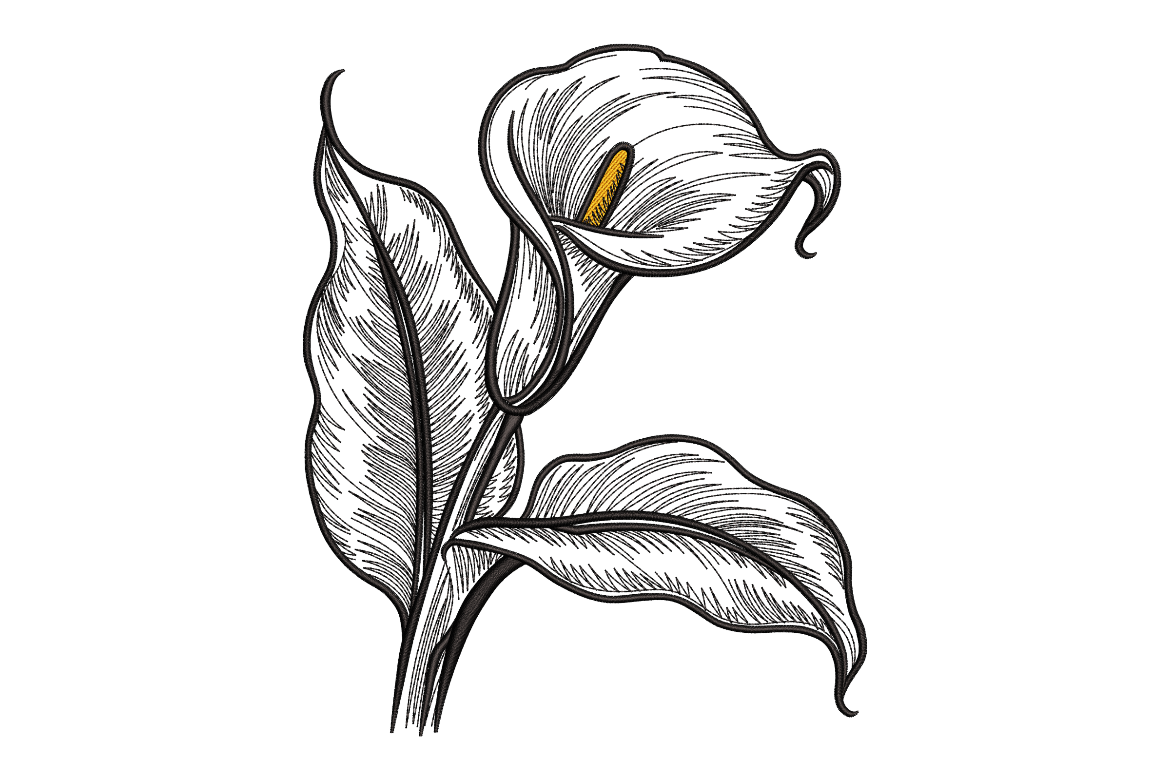 Calla Lily Botanical Line Art Machine Embroidery Design